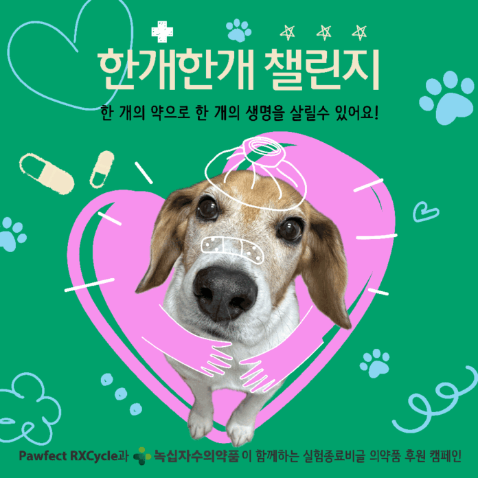 녹십자수의약품, 학생 프로젝트와 함께 ‘한개한개 챌린지’ 전개… 실험종료 비글 치료 지원
